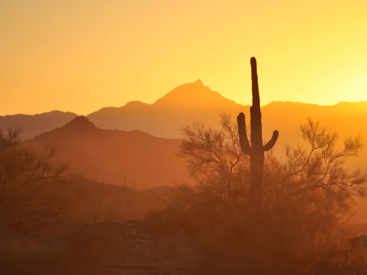 Arizona market resources