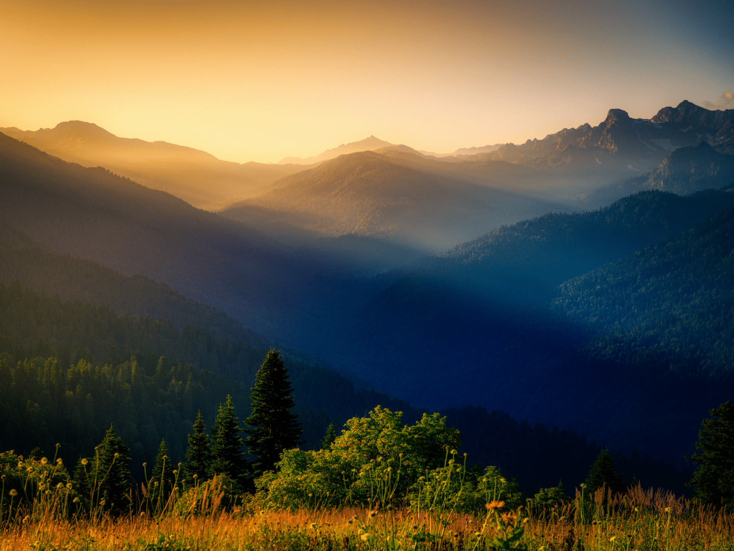 Appalachian region business insights