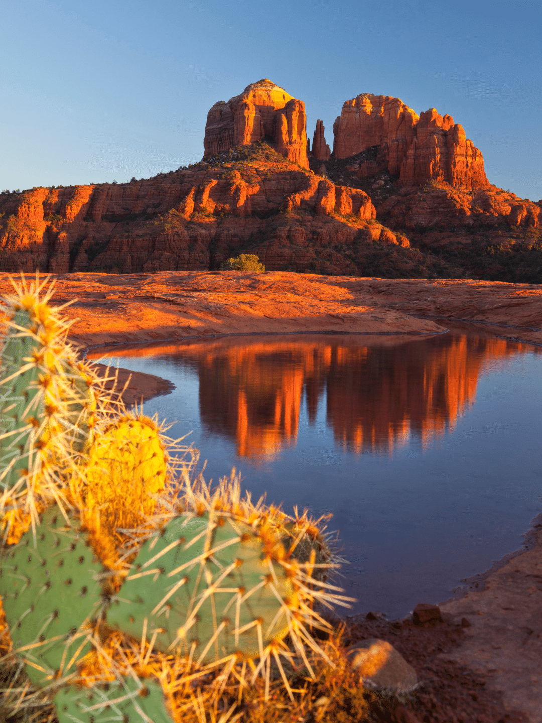 Ridgefield Partners corporate team