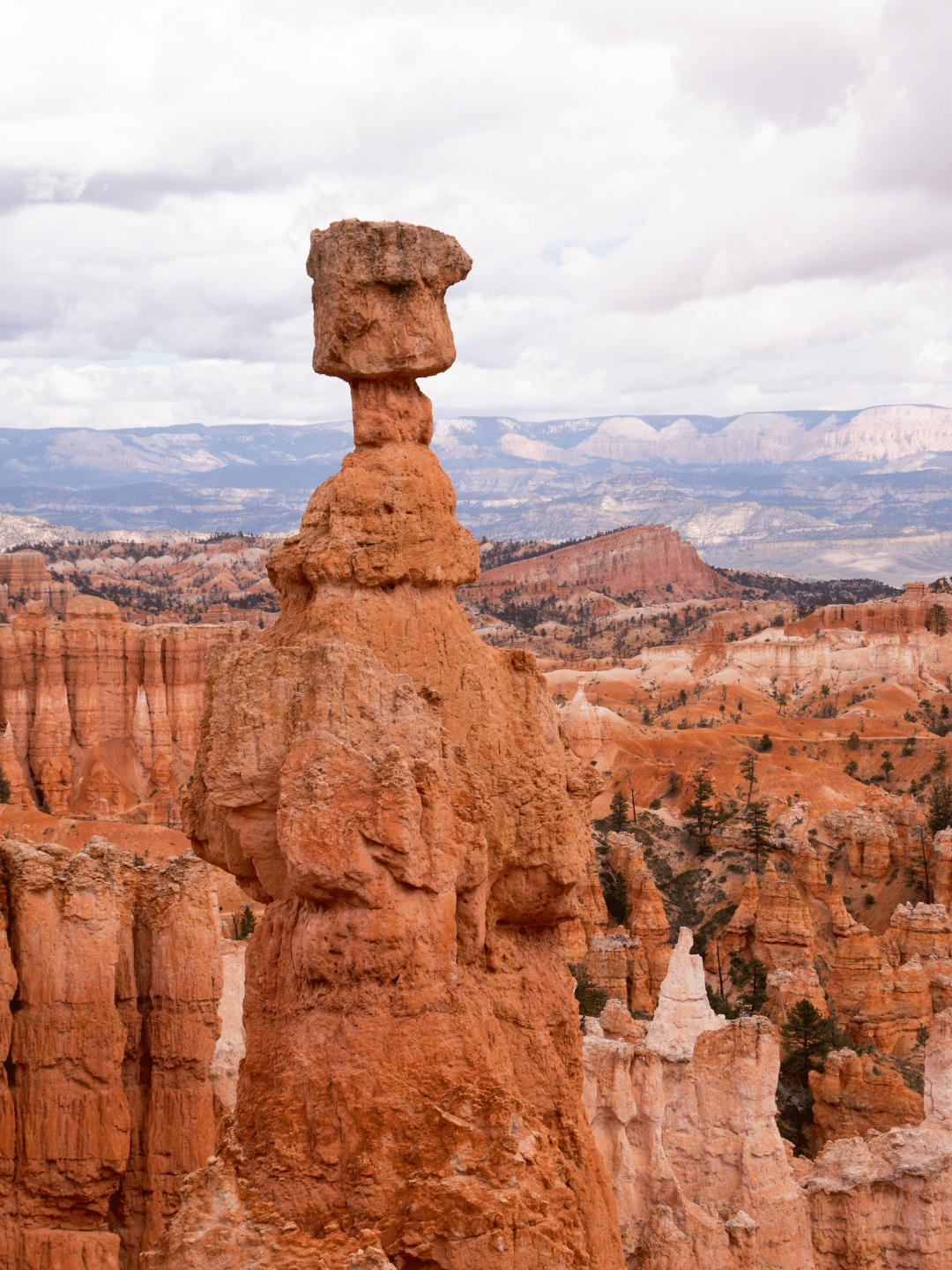 Utah business acquisition