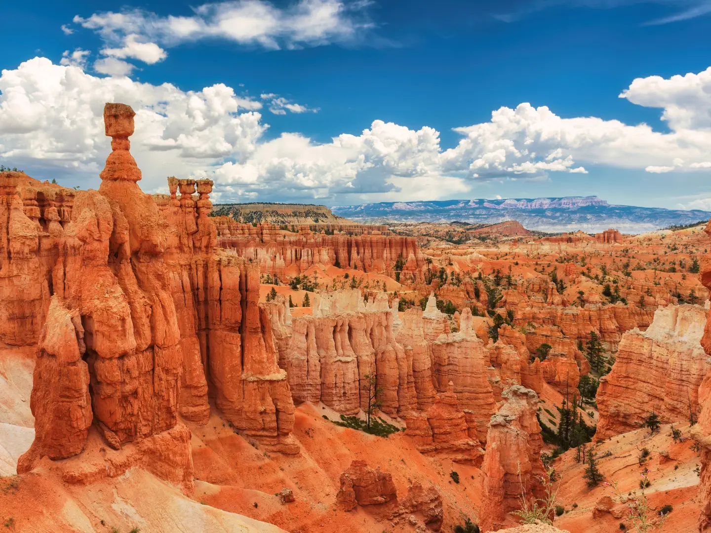 Utah business landscape